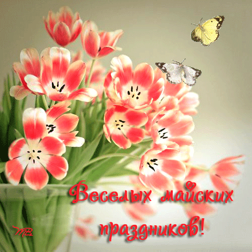 Веселых майских праздников
