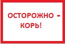 Осторожно, корь!