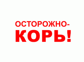 Осторожно, корь!