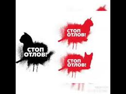 "СтопОтлов
